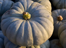 Load image into Gallery viewer, Pumpkin Crown 1kg