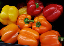 Load image into Gallery viewer, Capsicum Mixed 1kg Spray Free