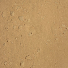 Load image into Gallery viewer, Garlic Powder 250g