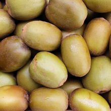 Load image into Gallery viewer, Kiwifruit Gold - 1kg