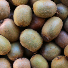 Load image into Gallery viewer, Kiwifruit Green 1kg