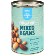 Load image into Gallery viewer, Mixed Beans Canned 400g