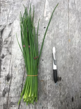 Load image into Gallery viewer, Chives bunch - Grow Together Farm