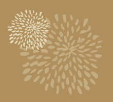 Load image into Gallery viewer, Membership One Year $40