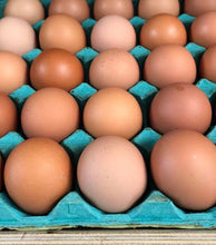 Load image into Gallery viewer, Eggs Coulston Hill Dozens Free-Range
