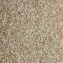 Load image into Gallery viewer, Pearl Barley Hulled (NZ) 1kg