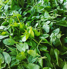 Load image into Gallery viewer, Spinach (150g bag) - Lux
