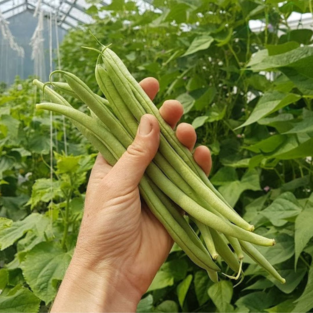 Beans any 250g bundle - Lux Organics