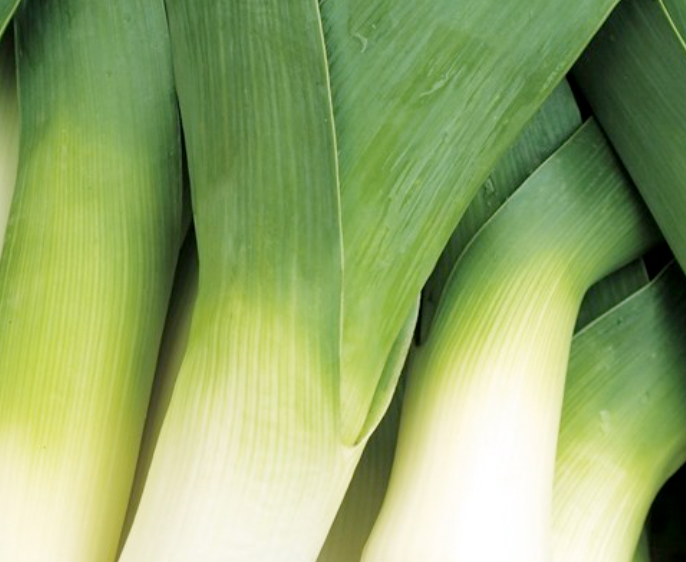 Leeks EACH