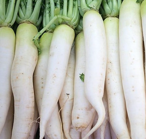 Daikon Radish White 1kg