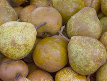 Load image into Gallery viewer, Pears - Winter Nelis 1kg
