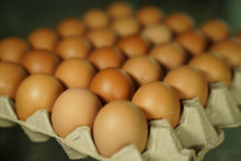 Load image into Gallery viewer, Eggs Coulston Hill Tray of 30
