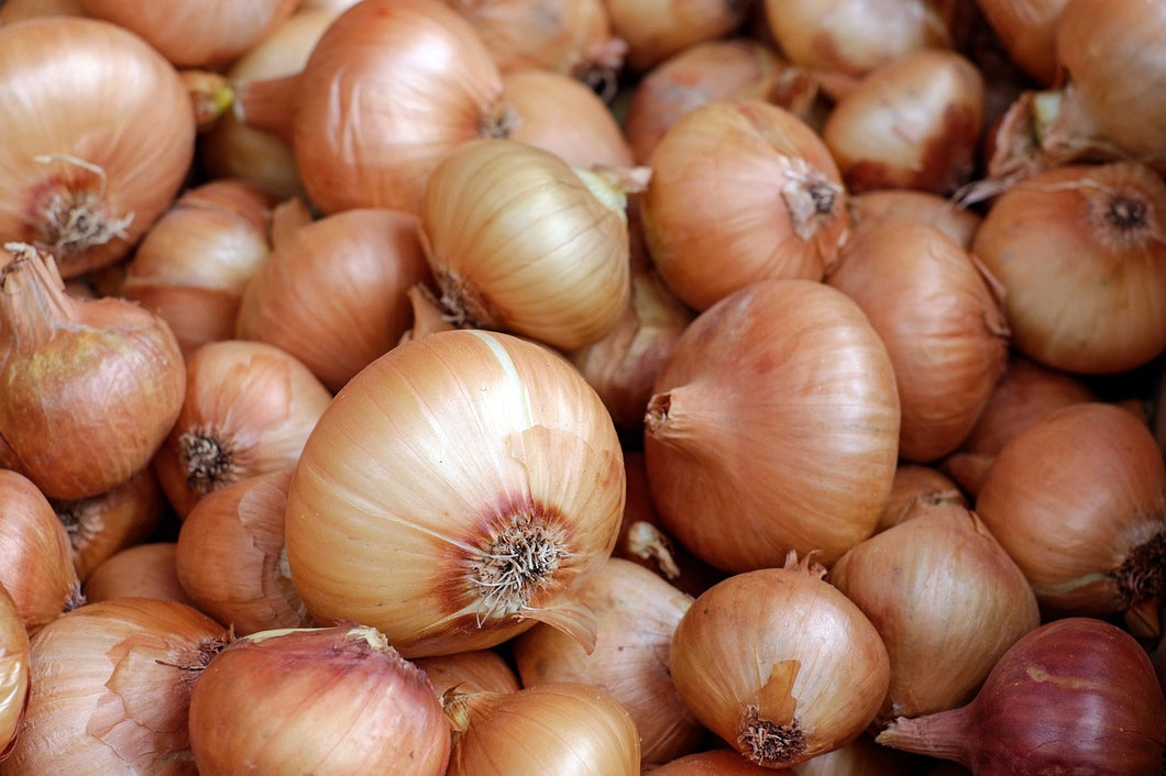 Onions Brown NZ 1kg