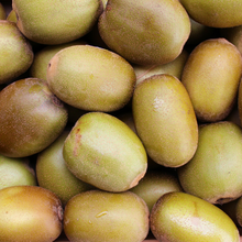 Load image into Gallery viewer, Kiwifruit Gold - 1kg
