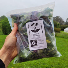 Load image into Gallery viewer, Mesclun Salad mix (125g bag) - Lux SHOP
