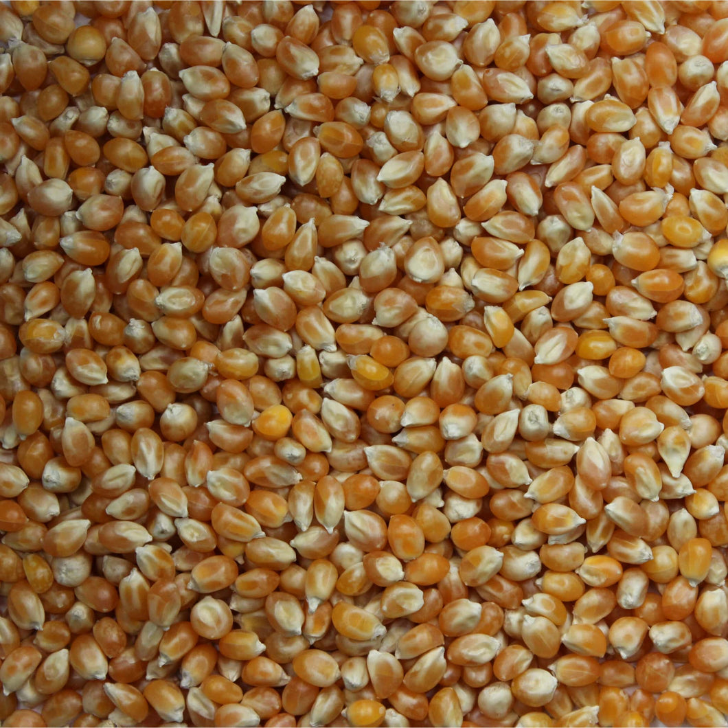 Popcorn (Popping Corn) 2kg