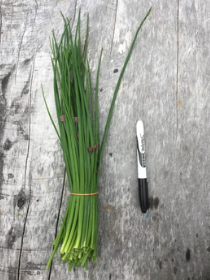 Chives (Bunch) - Grow Together Farm