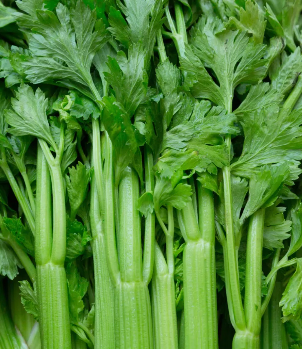 Celery - each