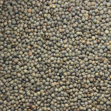 Load image into Gallery viewer, Lentils French Green 500g
