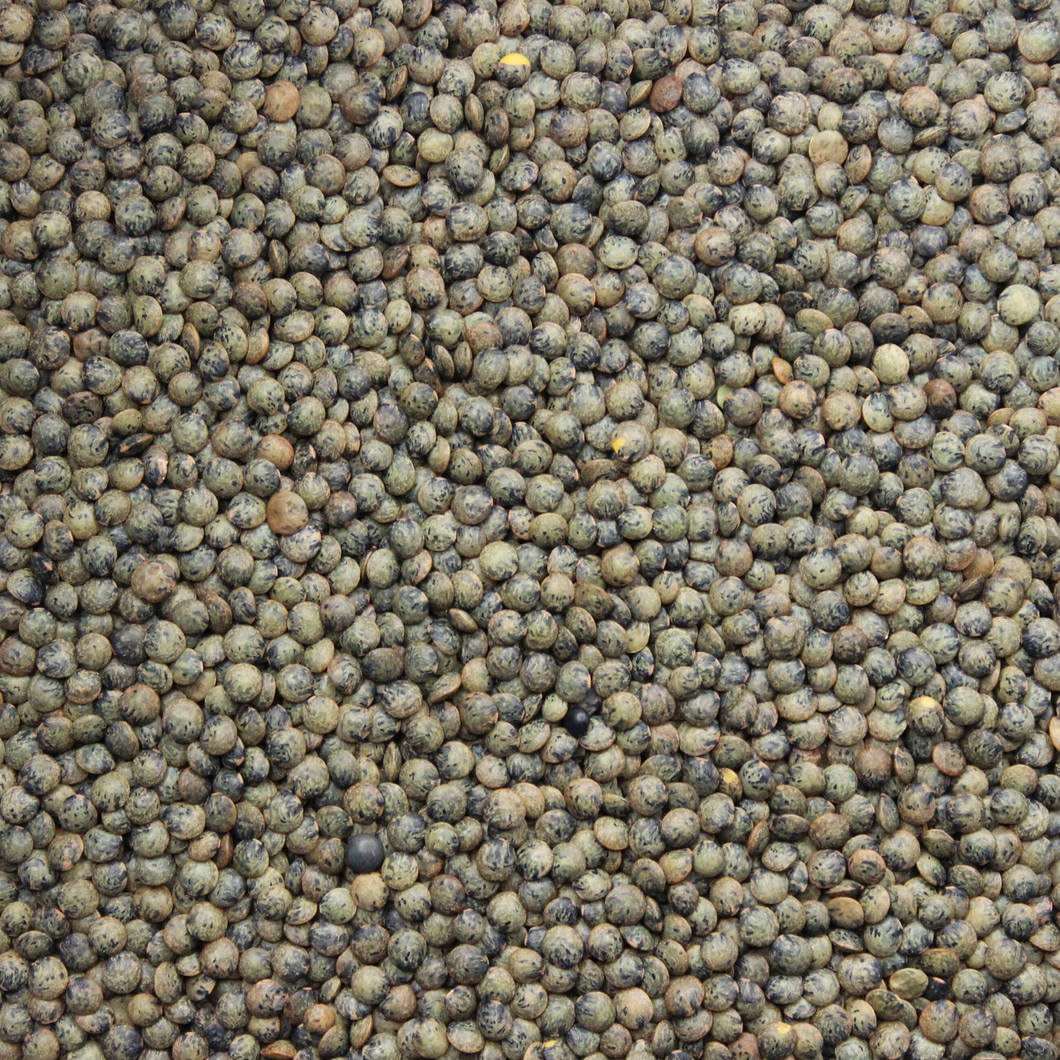 Lentils French Green 500g