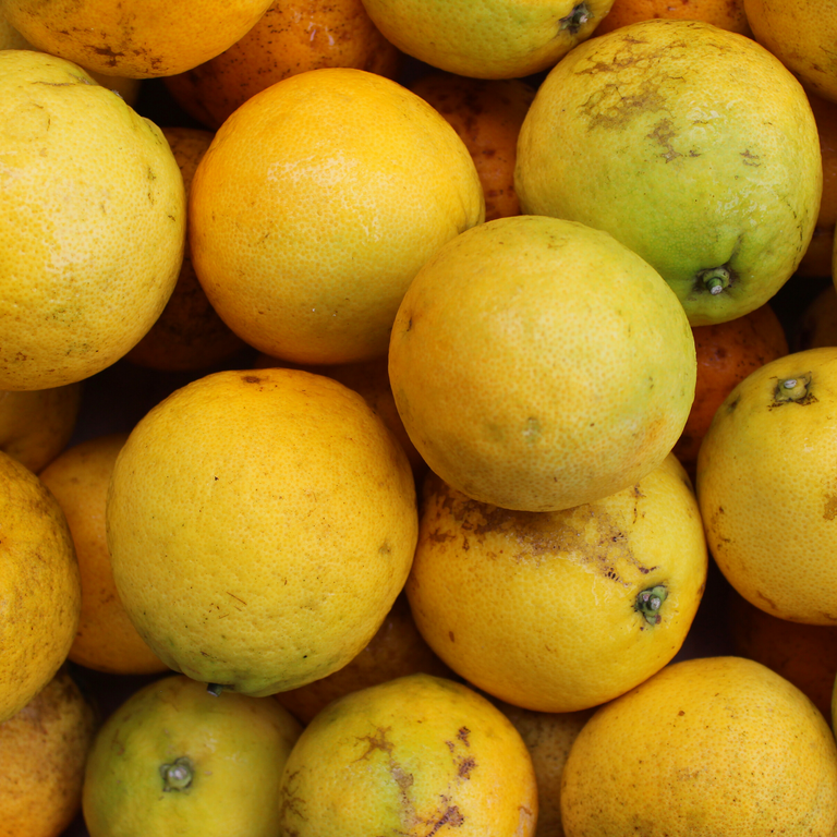 Oranges - Valencia 1kg