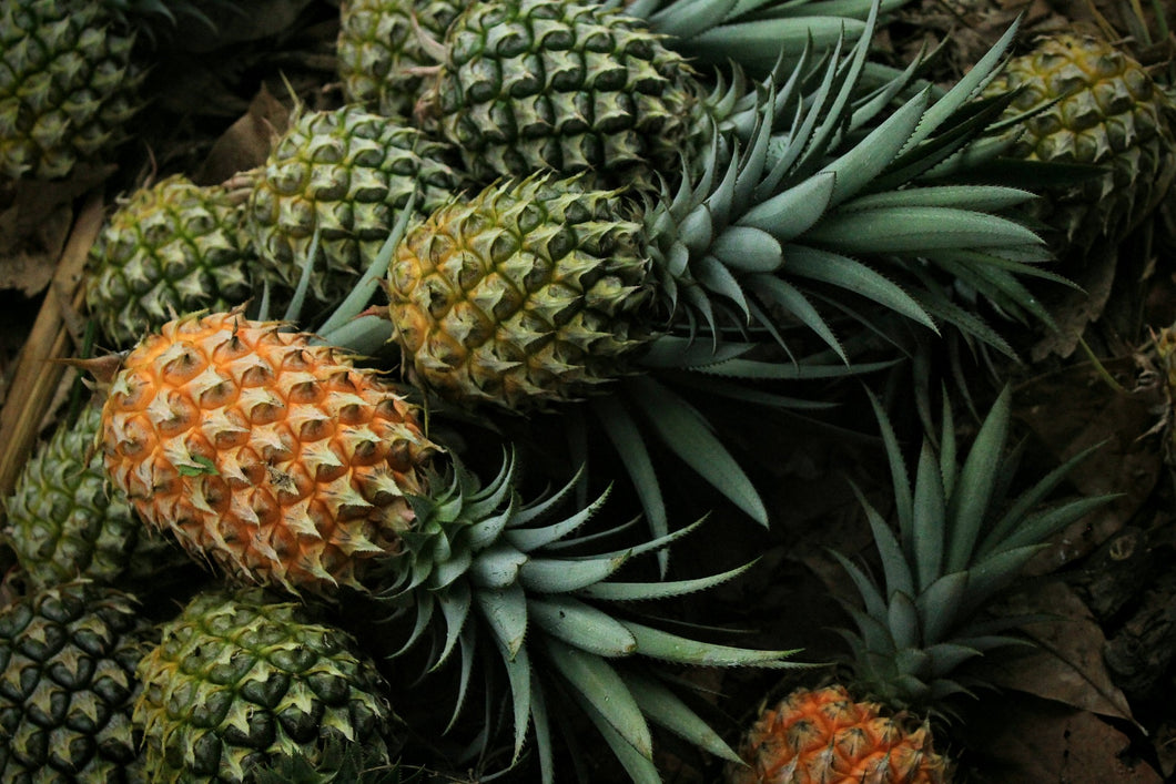 Pineapple fresh whole (Fijian) spray-free