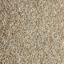 Load image into Gallery viewer, Pearl Barley Hulled 1kg

