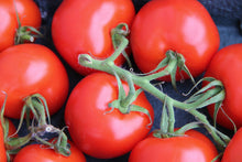 Load image into Gallery viewer, Tomatoes Truss NZ (spray-free) 1kg
